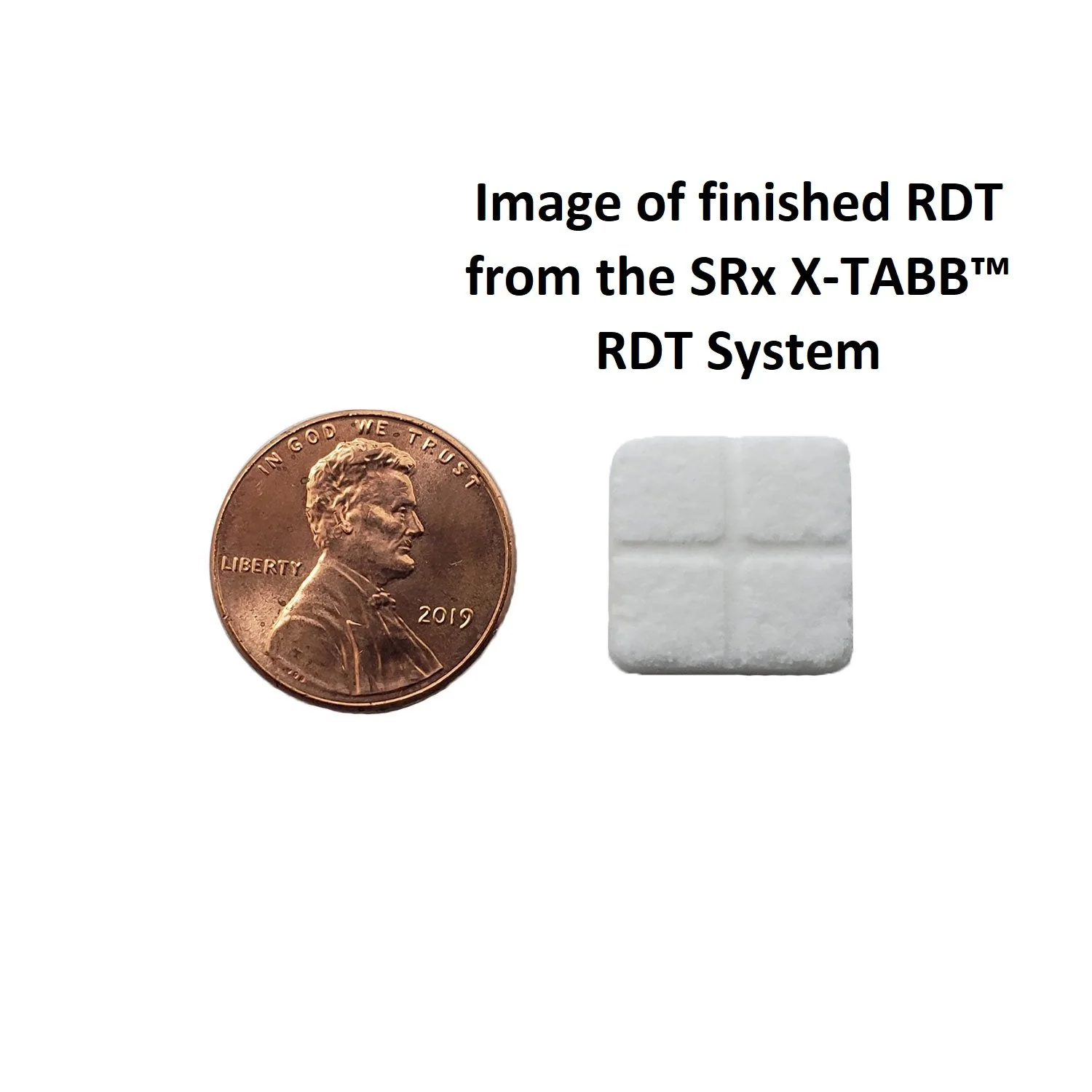 Excell-RDT™ SF Rapid Dissolve Tablet Base (Unsweetened) - Image 3